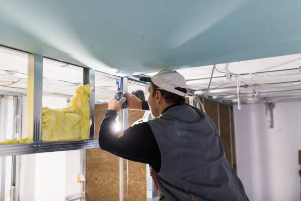 Best Attic Insulation Installation  in Riverside, AL